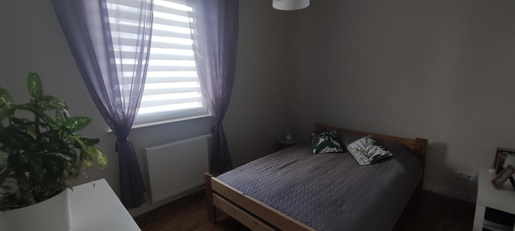 Apartament Zielone Zamienie מראה חיצוני תמונה